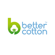 CSR Certificate 74e15038